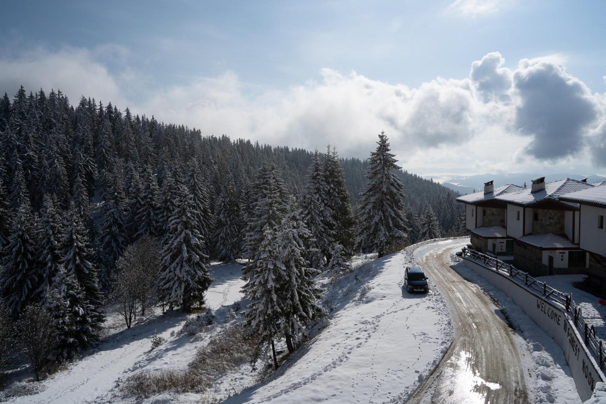 Апартамент Дени Pamporovo Exterior photo